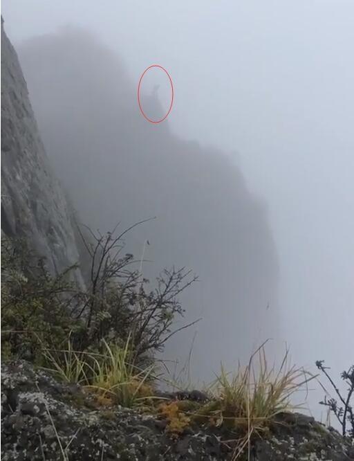 突发！一名男子在峨眉山金顶跳下舍身崖 景区正在搜寻