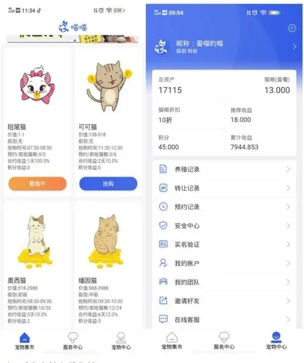 网上“养猫”能赚钱？6000人被骗了几个亿！