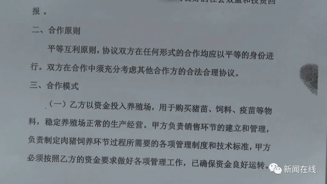 女子用11套房产替亲戚作担保贷款，没想到最后却成了被告......